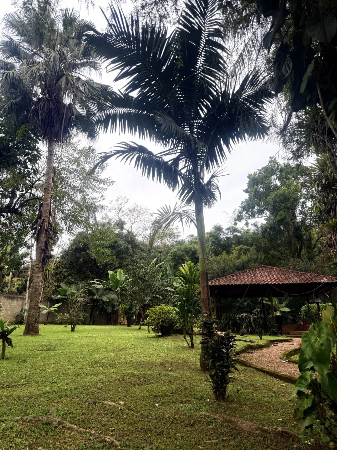 Casa Graciosa — foto 44