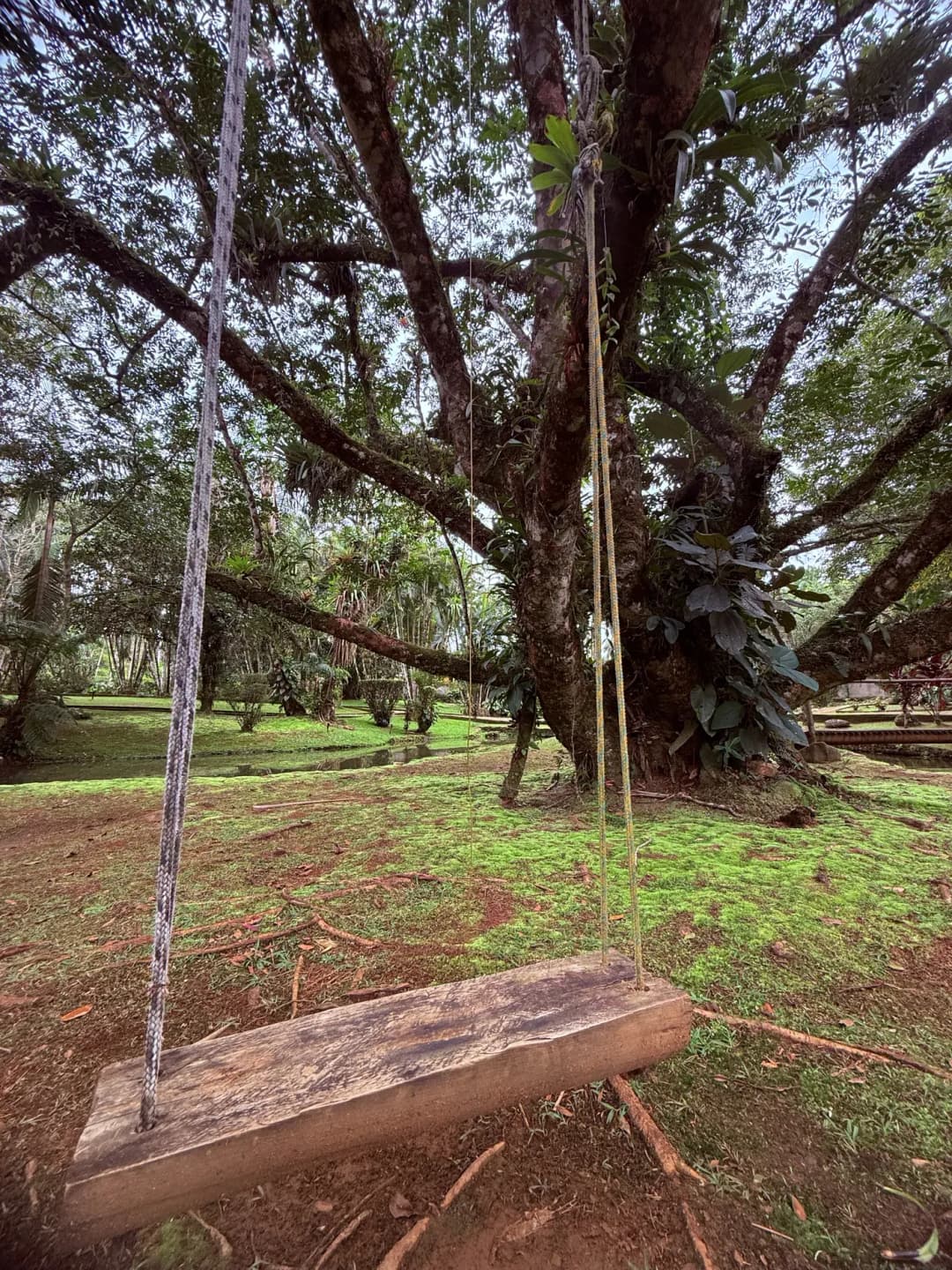 Casa Graciosa — foto 50
