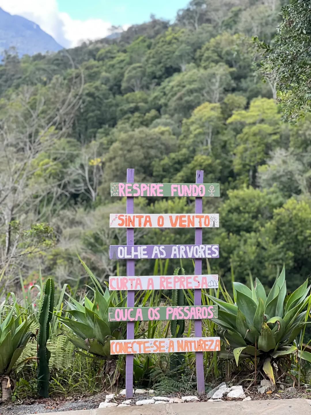 Chalé Suíço — foto 19